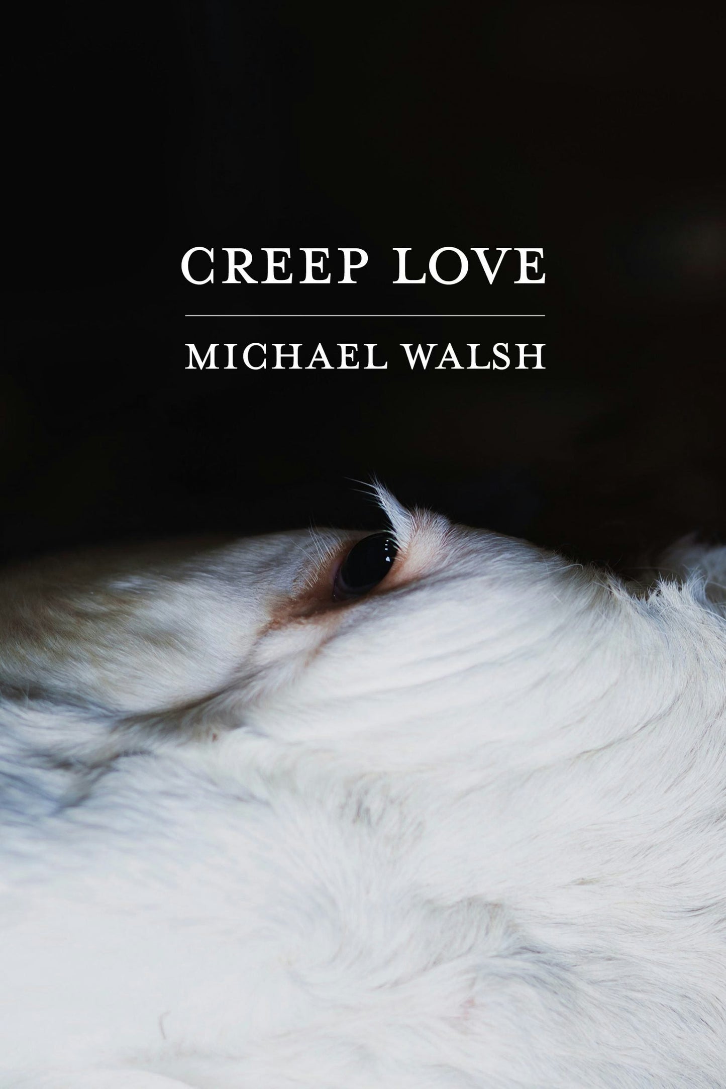Book cover image for Creep Love ISBN: 9781938769764