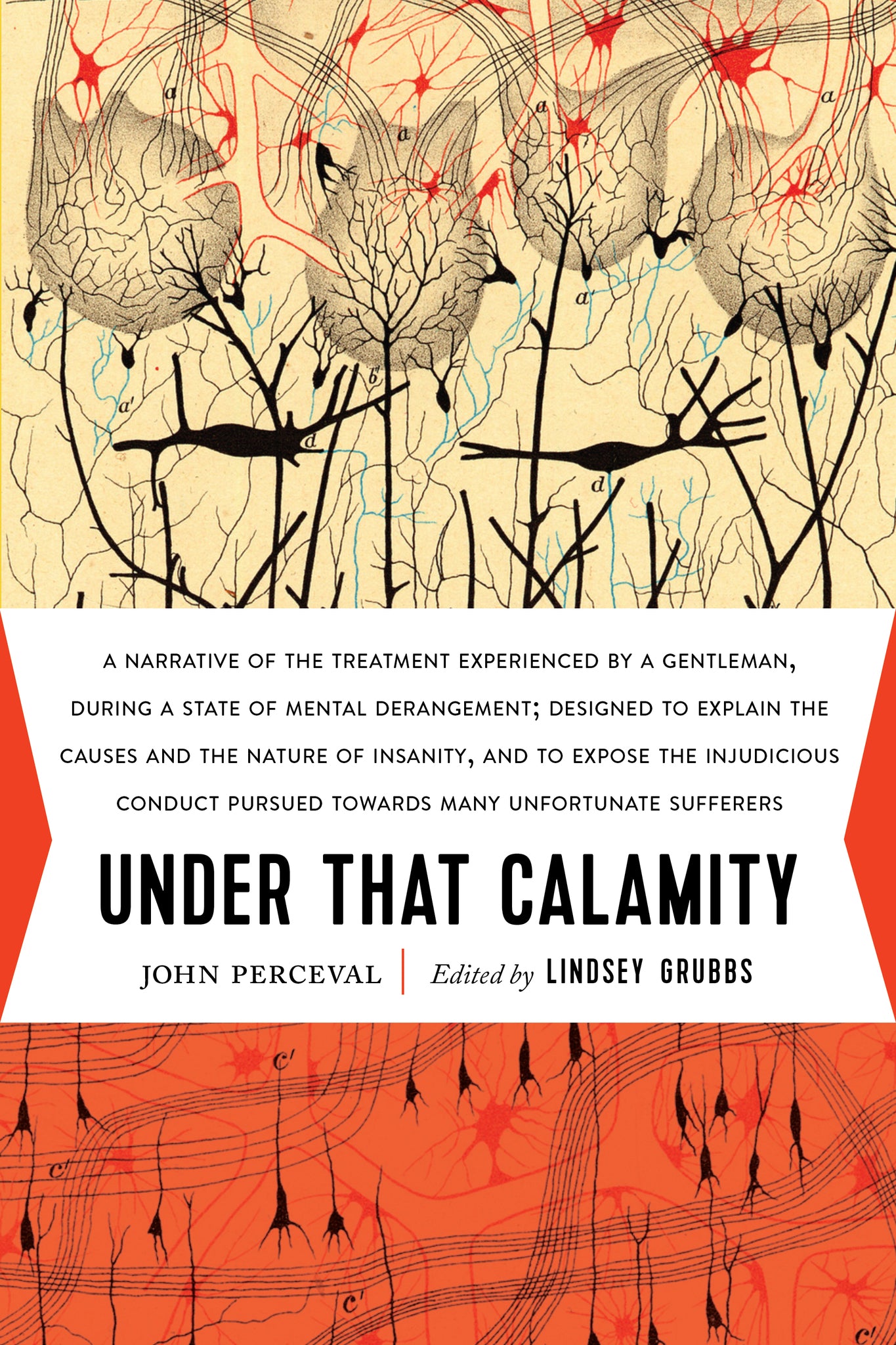 Cover image for Under That Calamity ISBN 9781941360637