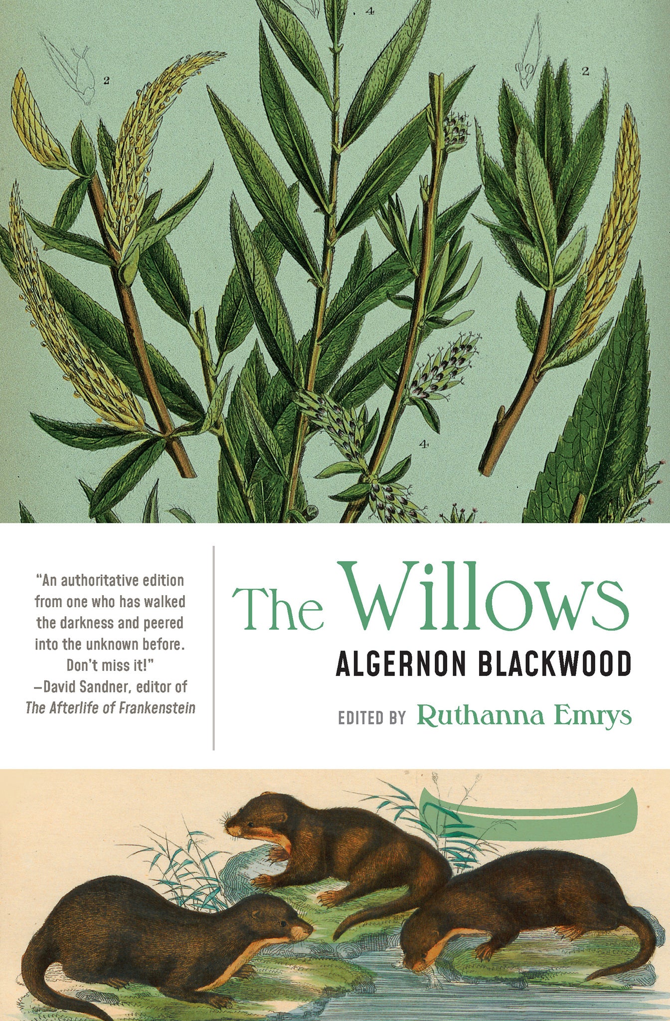 Cover image for The Willows ISBN 9781941360835