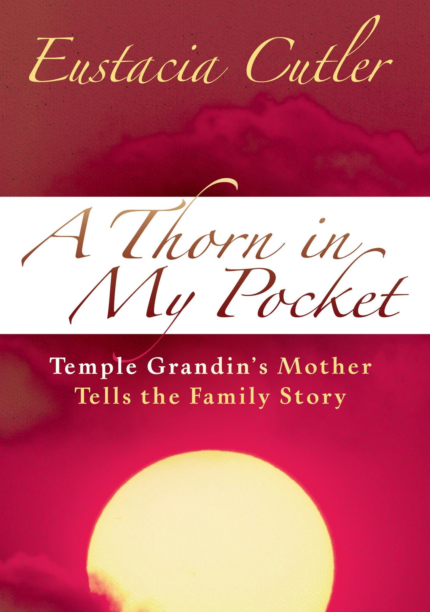 Book cover image for A Thorn in My Pocket ISBN: 9781941765401