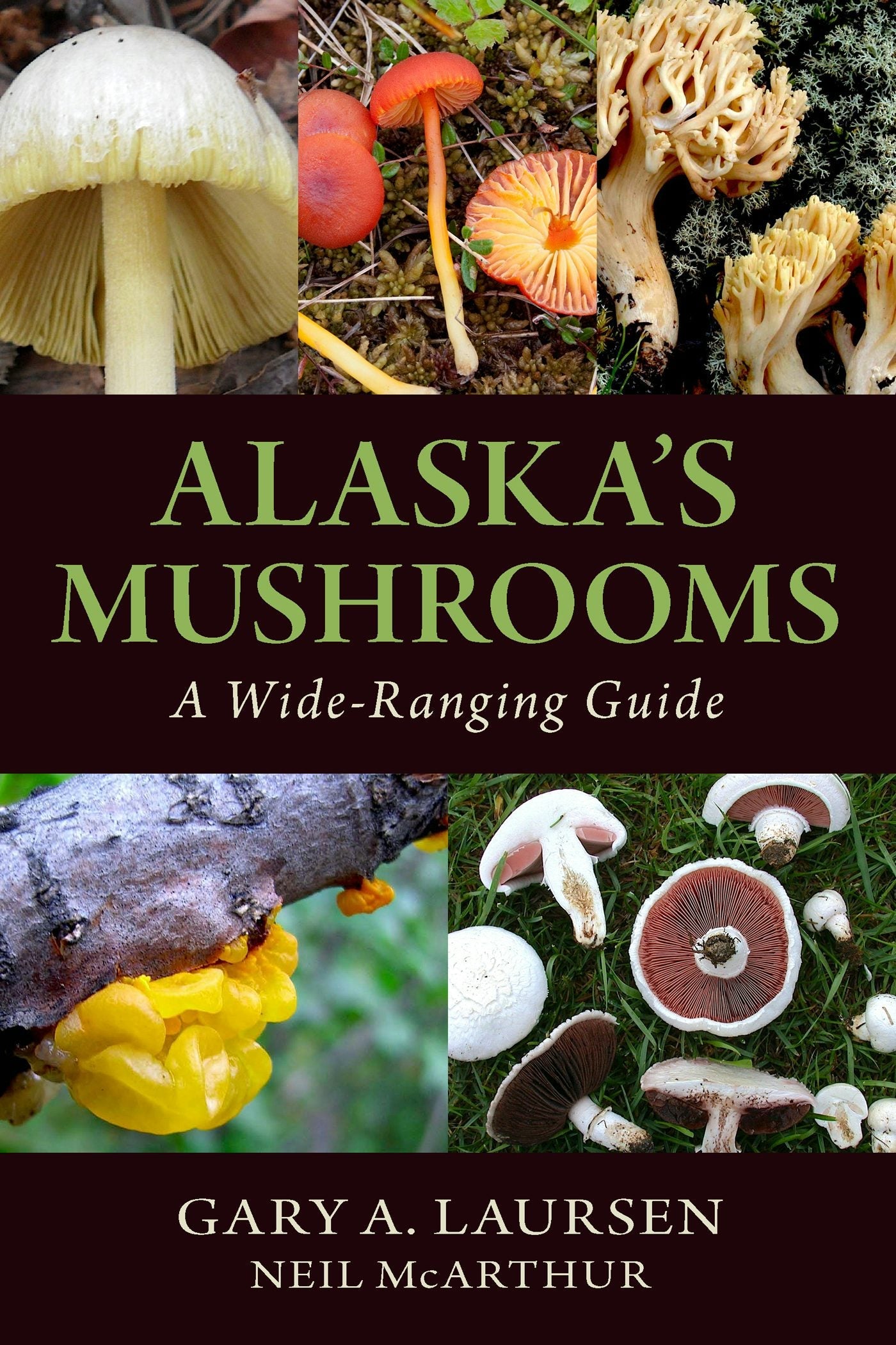 Book cover image for Alaska's Mushrooms ISBN: 9781943328499