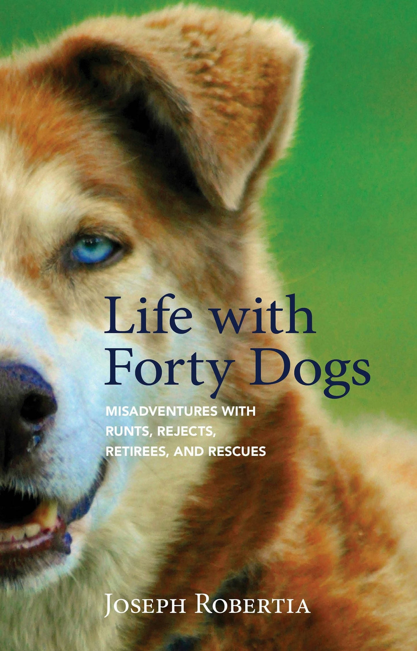 Book cover image for Life with Forty Dogs ISBN: 9781943328918