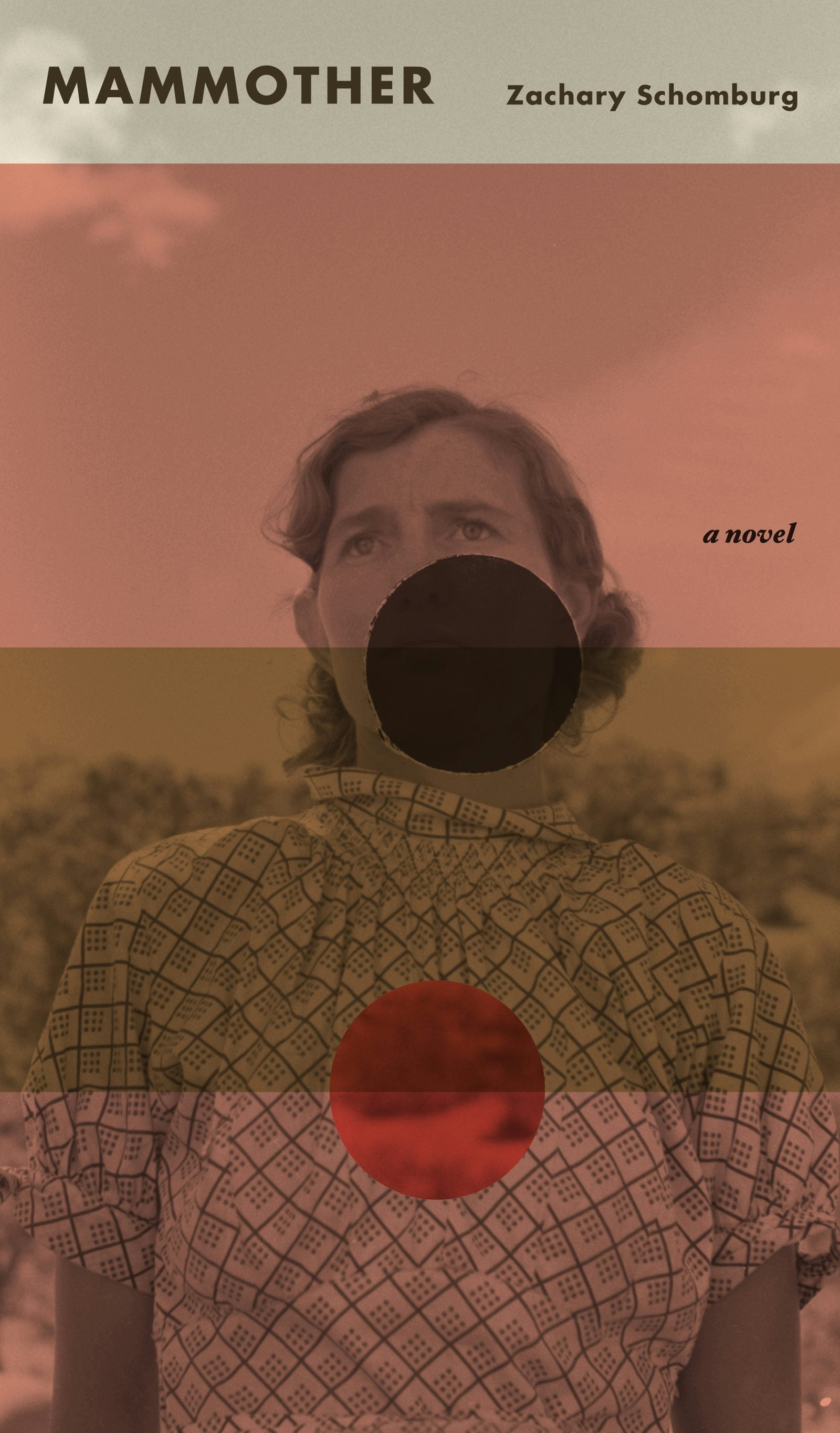 Book cover image for Mammother ISBN: 9781943888108
