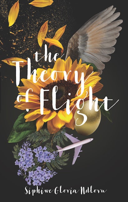 Book cover image for The Theory of Flight ISBN: 9781946395412