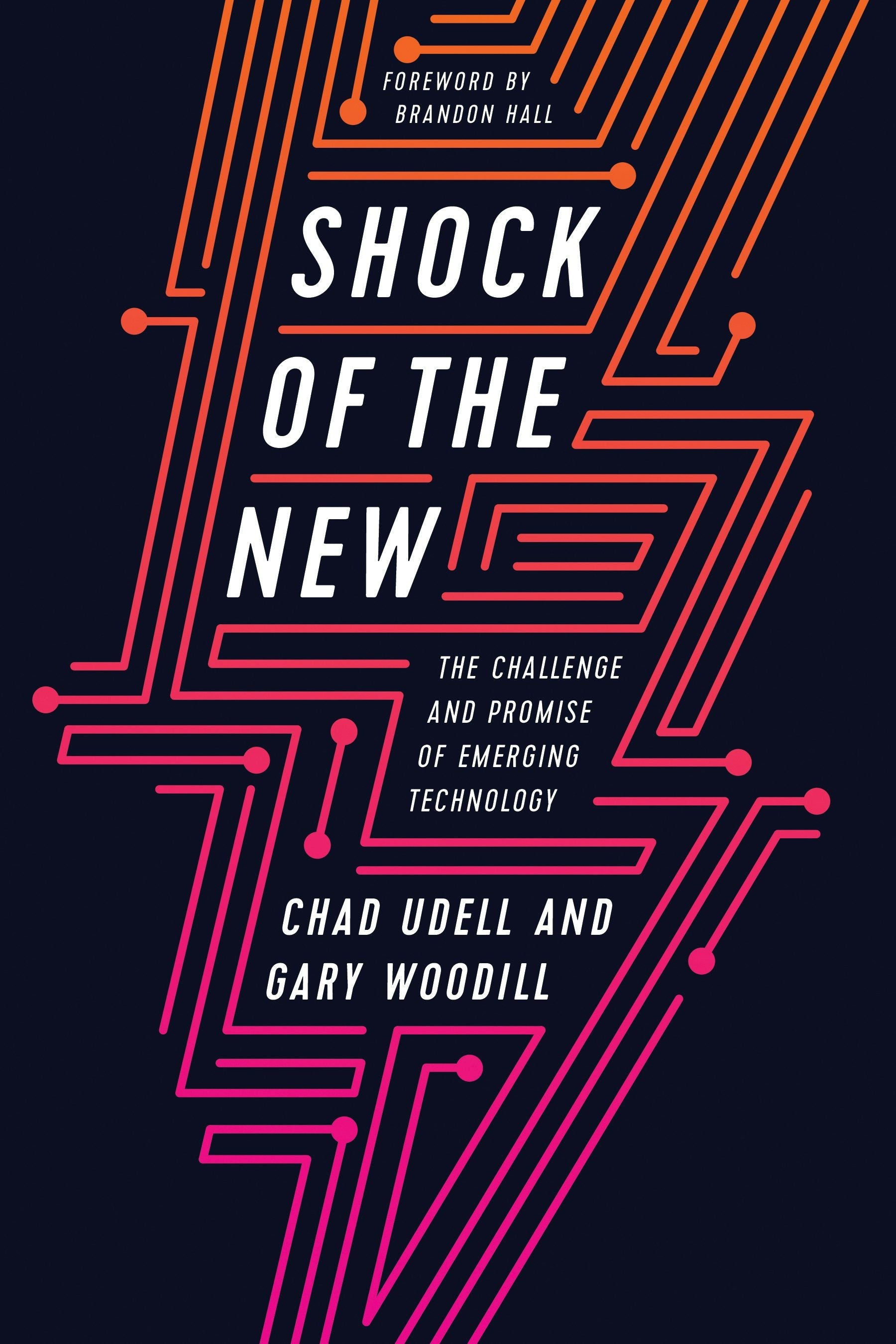Book cover image for Shock of the New ISBN: 9781947308800