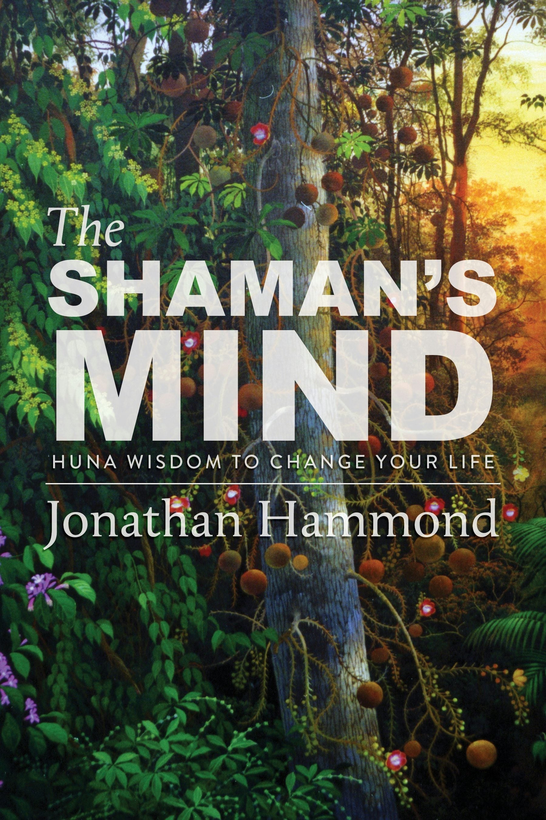 Book cover image for The Shaman's Mind ISBN: 9781948626224