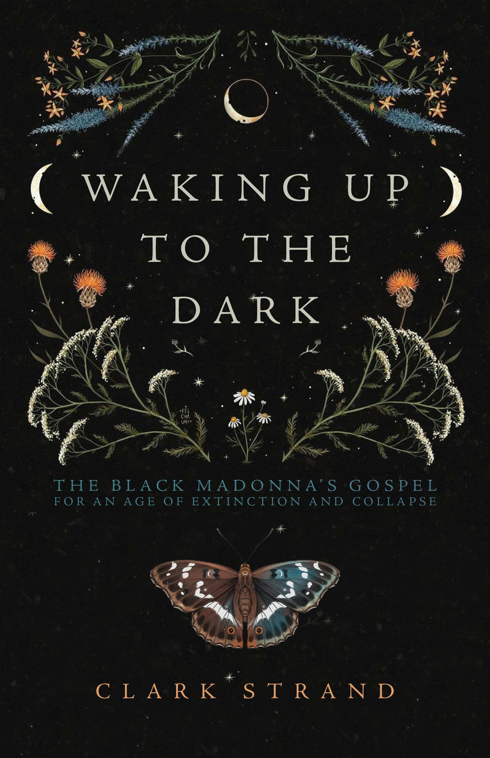 Book cover image for Waking Up to the Dark ISBN: 9781948626736