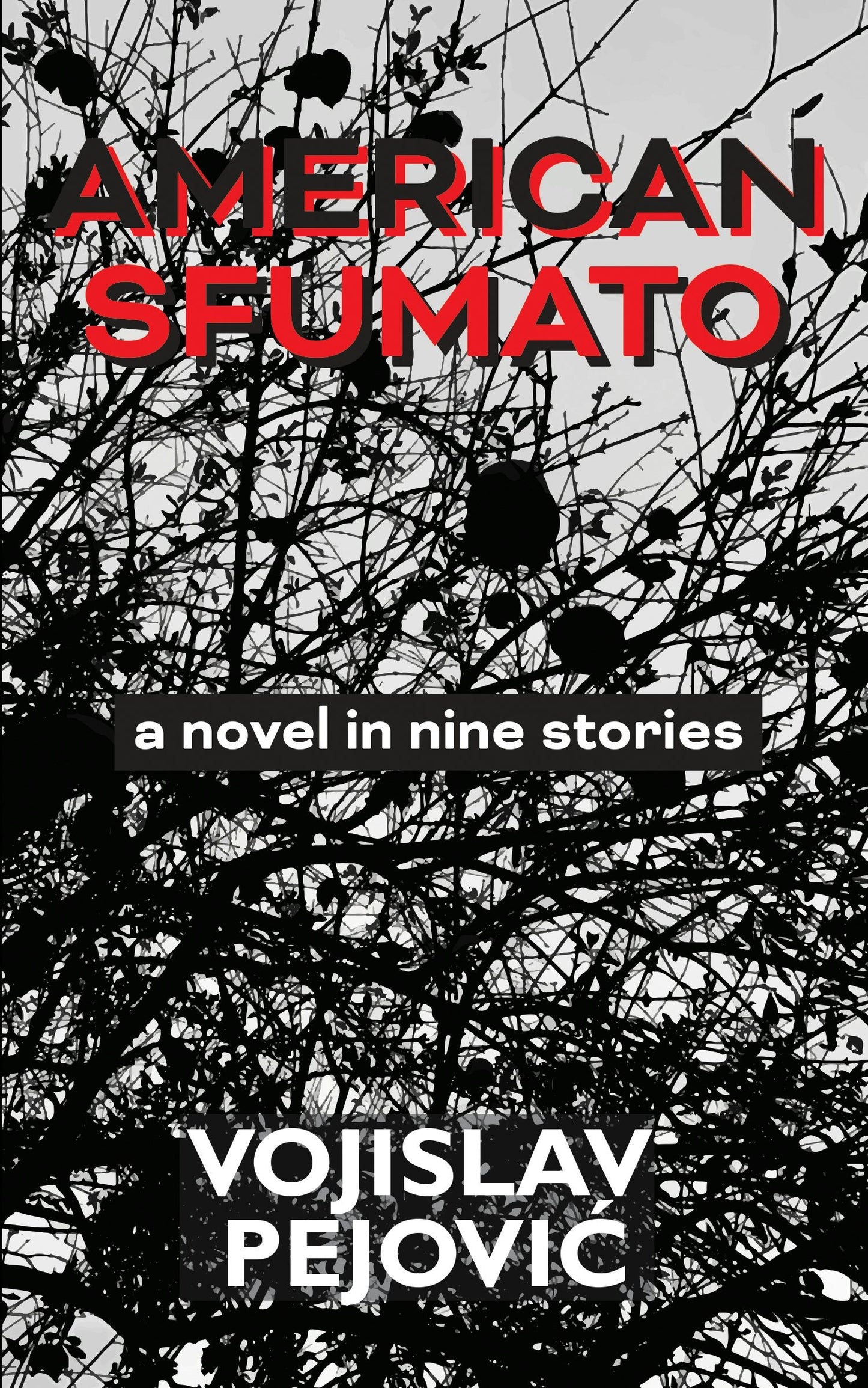 Book cover image for American Sfumato ISBN: 9781948954259