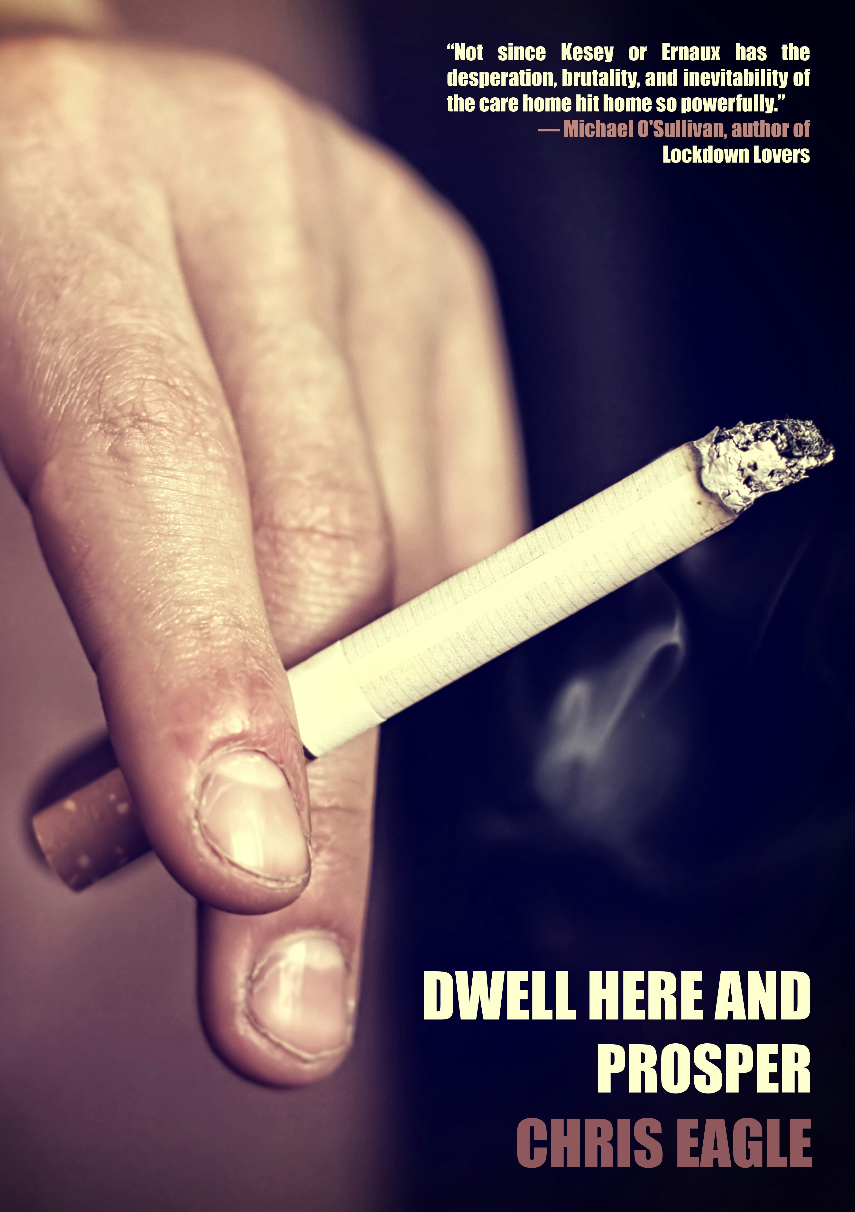 Book cover image for Dwell Here and Prosper ISBN: 9781948954792