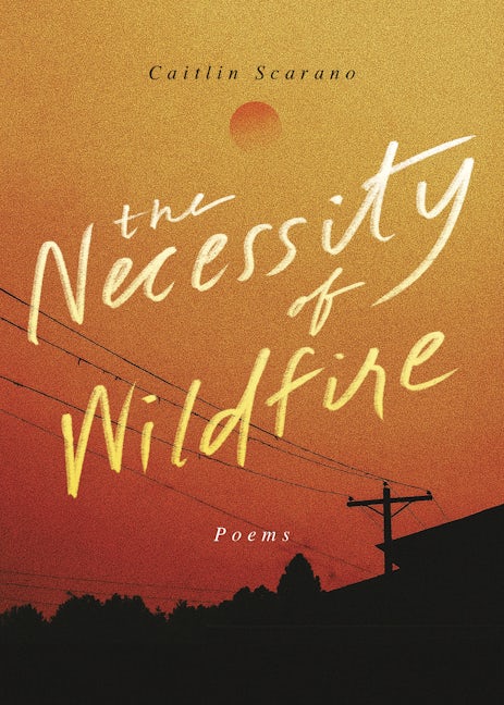 Book cover image for The Necessity of Wildfire ISBN: 9781949467789