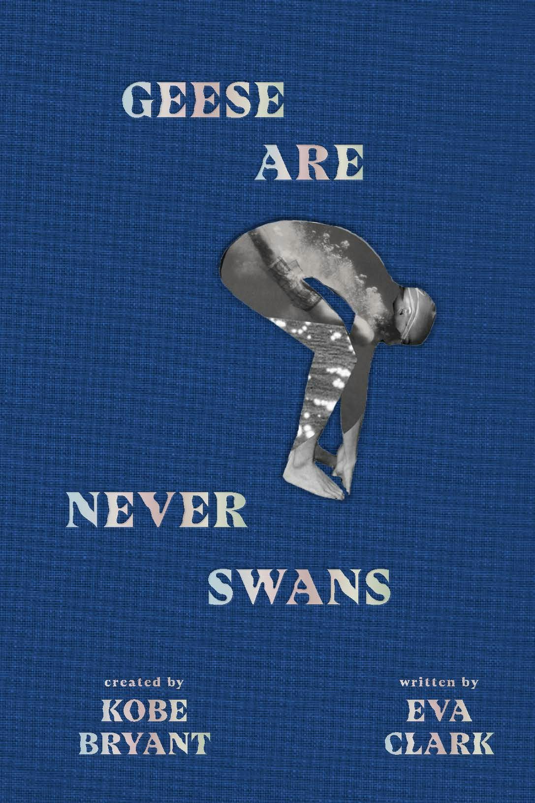 Book cover image for Geese Are Never Swans ISBN: 9781949520057