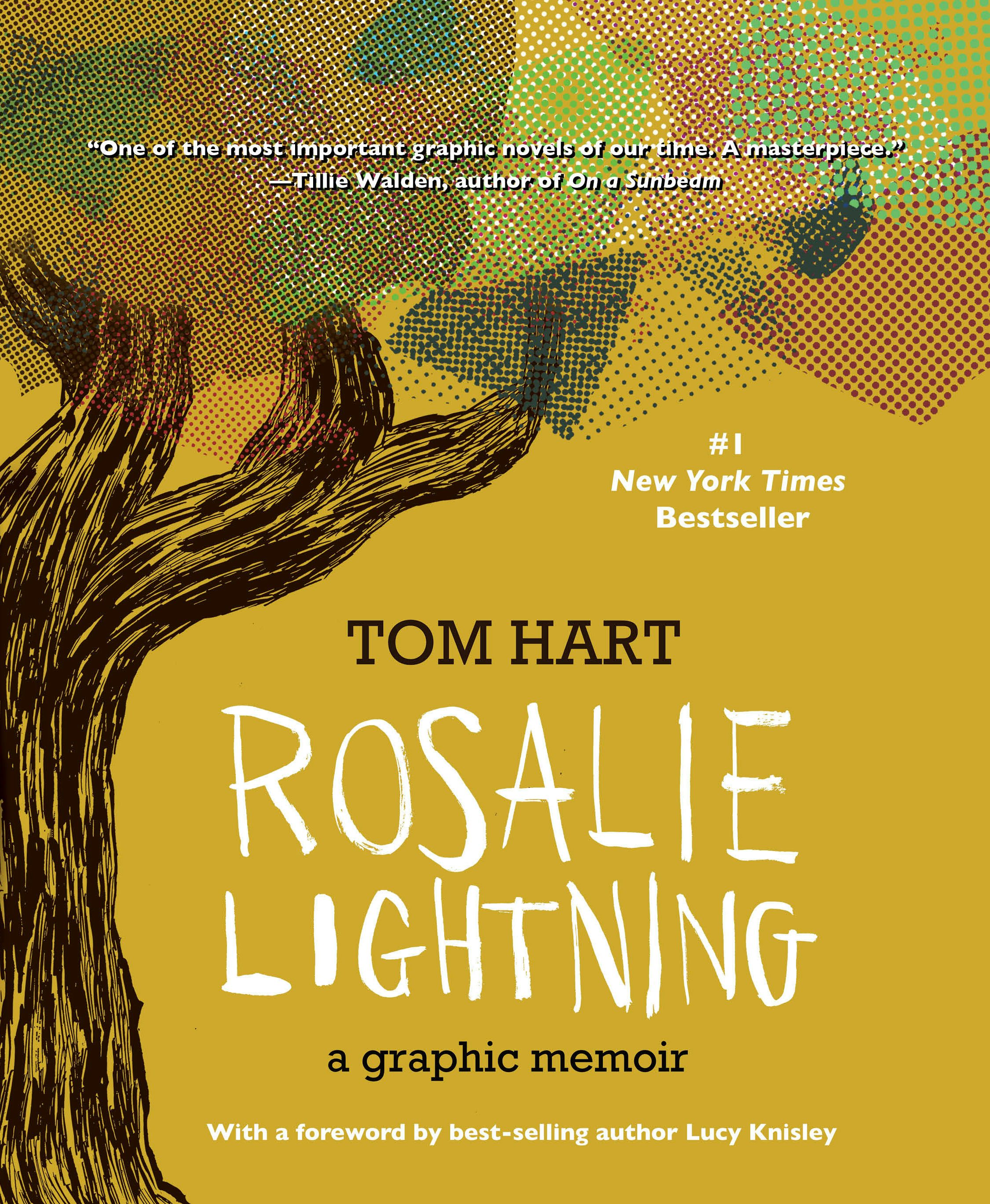 Book cover image for Rosalie Lightning ISBN: 9781951491406
