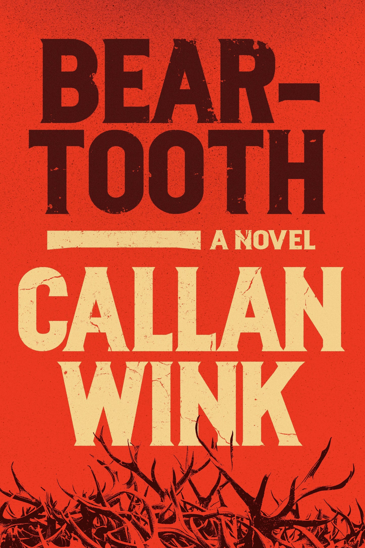 Cover image for Beartooth, isbn: 9781954118416
