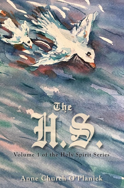 Book cover image for The H.S. ISBN: 9781954437531