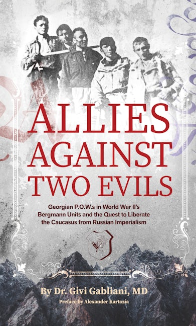 Book cover image for Allies Against Two Evils ISBN: 9781954600911