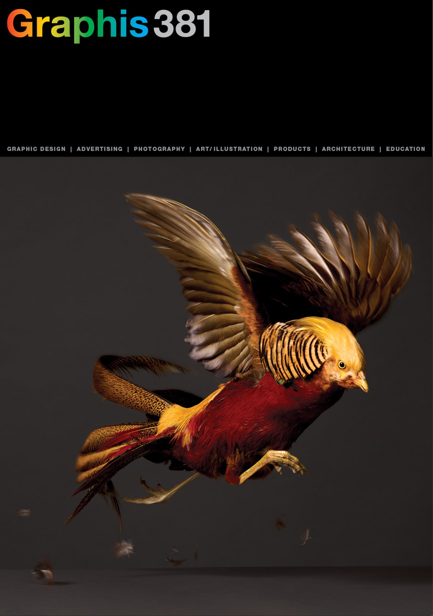 Cover image for Graphis Journal Magazine 381 ISBN 9781954632271