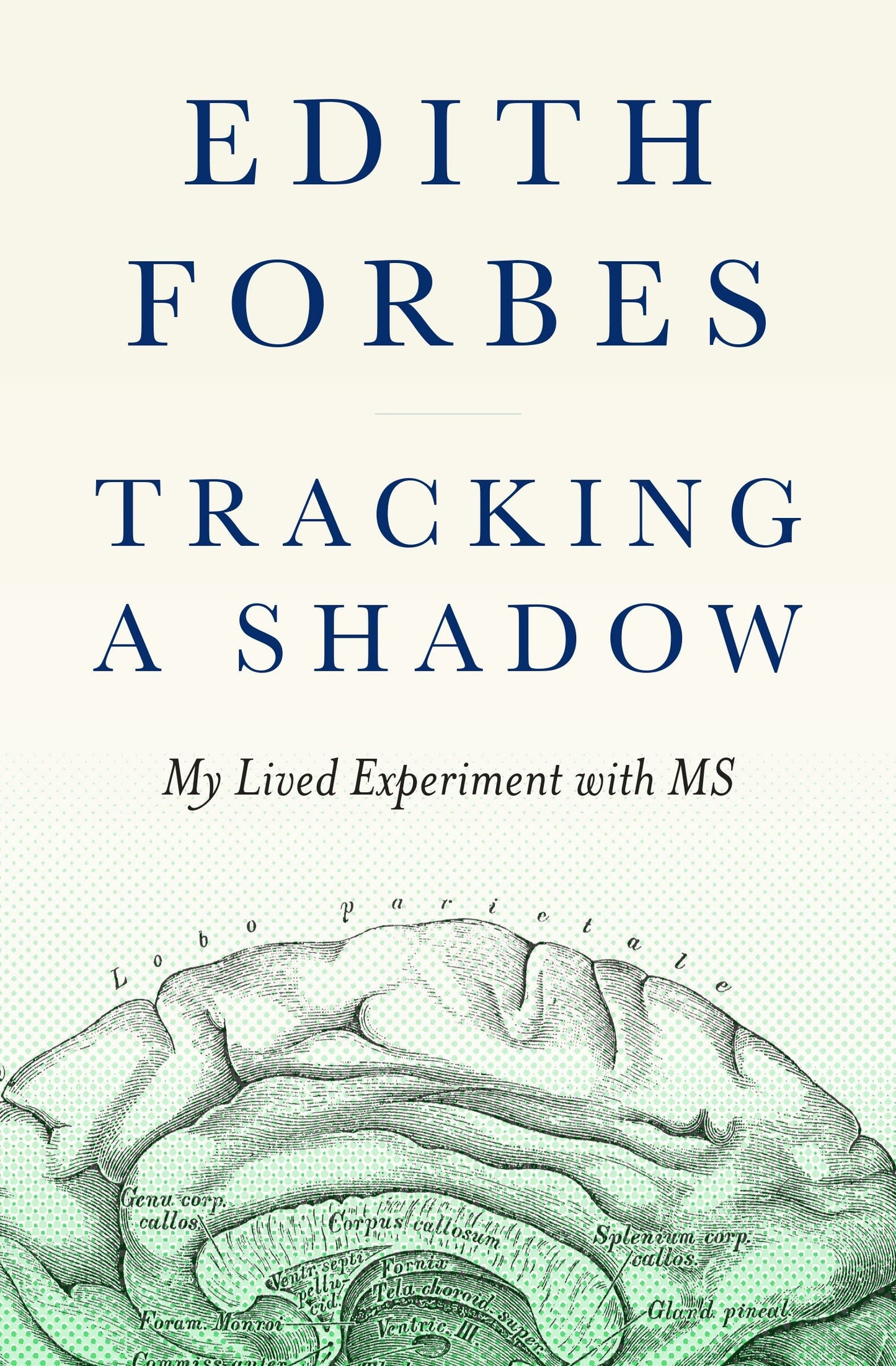 Cover image for Tracking a Shadow, isbn: 9781954854253
