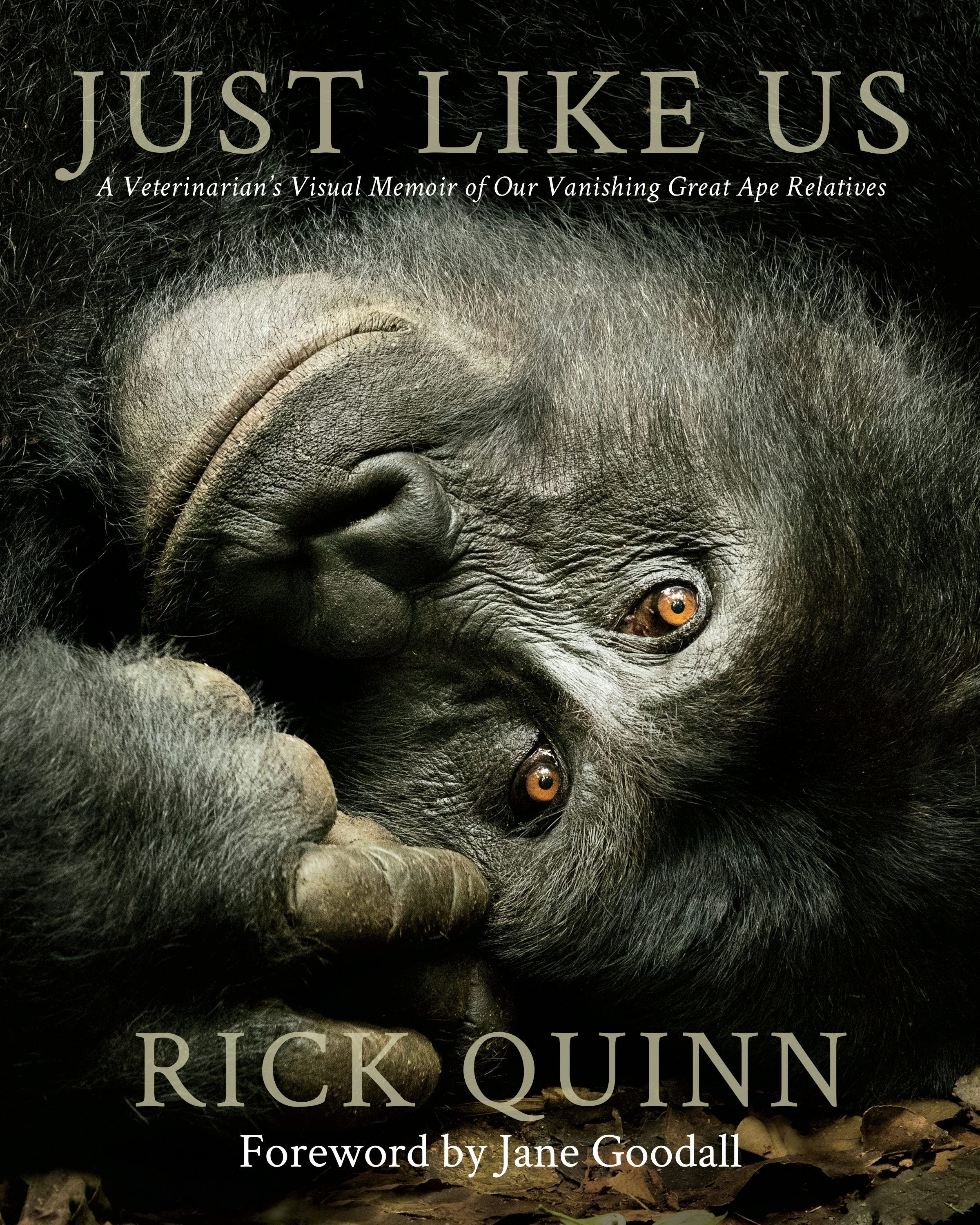 Cover image for Just Like Us, isbn: 9781954854321