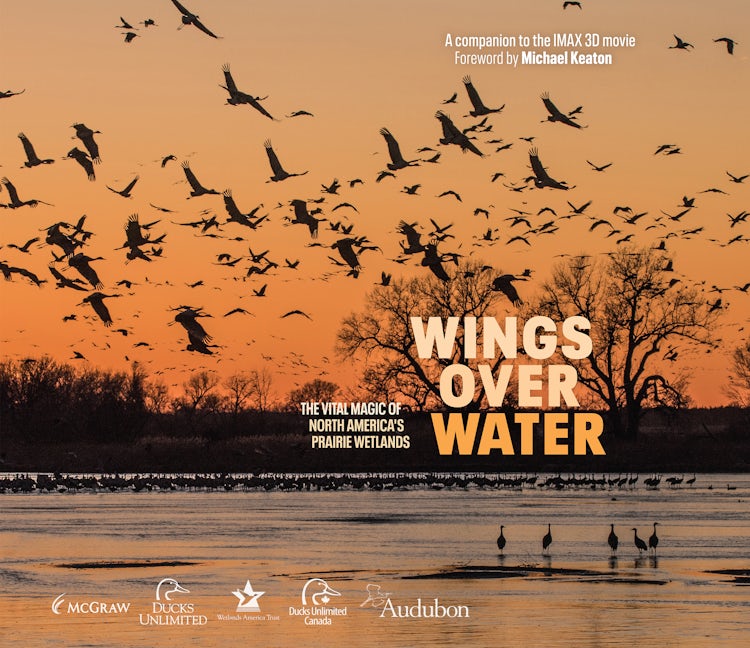 Book cover image for Wings Over Water ISBN: 9781954854550