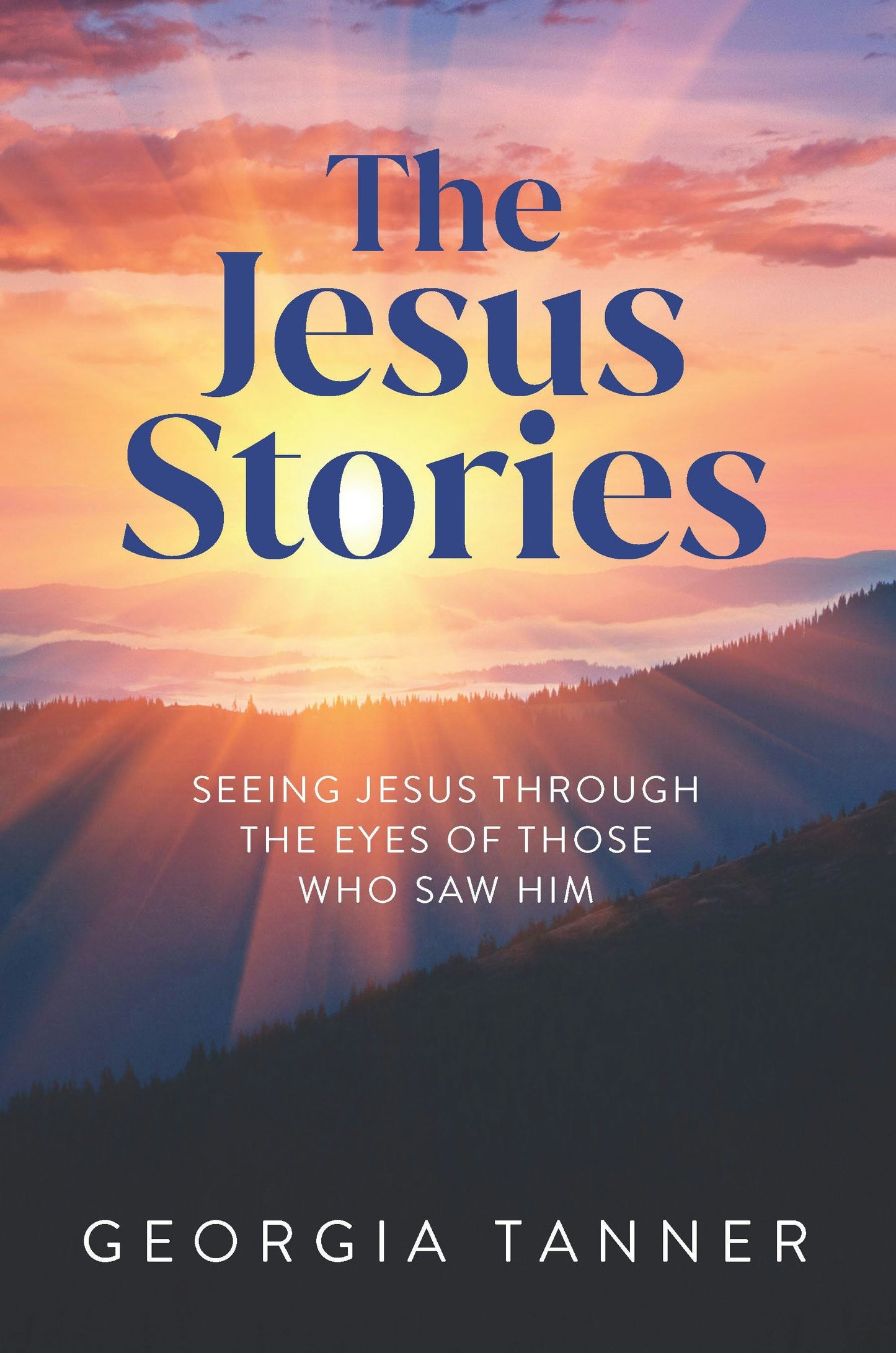 Book cover image for The Jesus Stories ISBN: 9781956370768