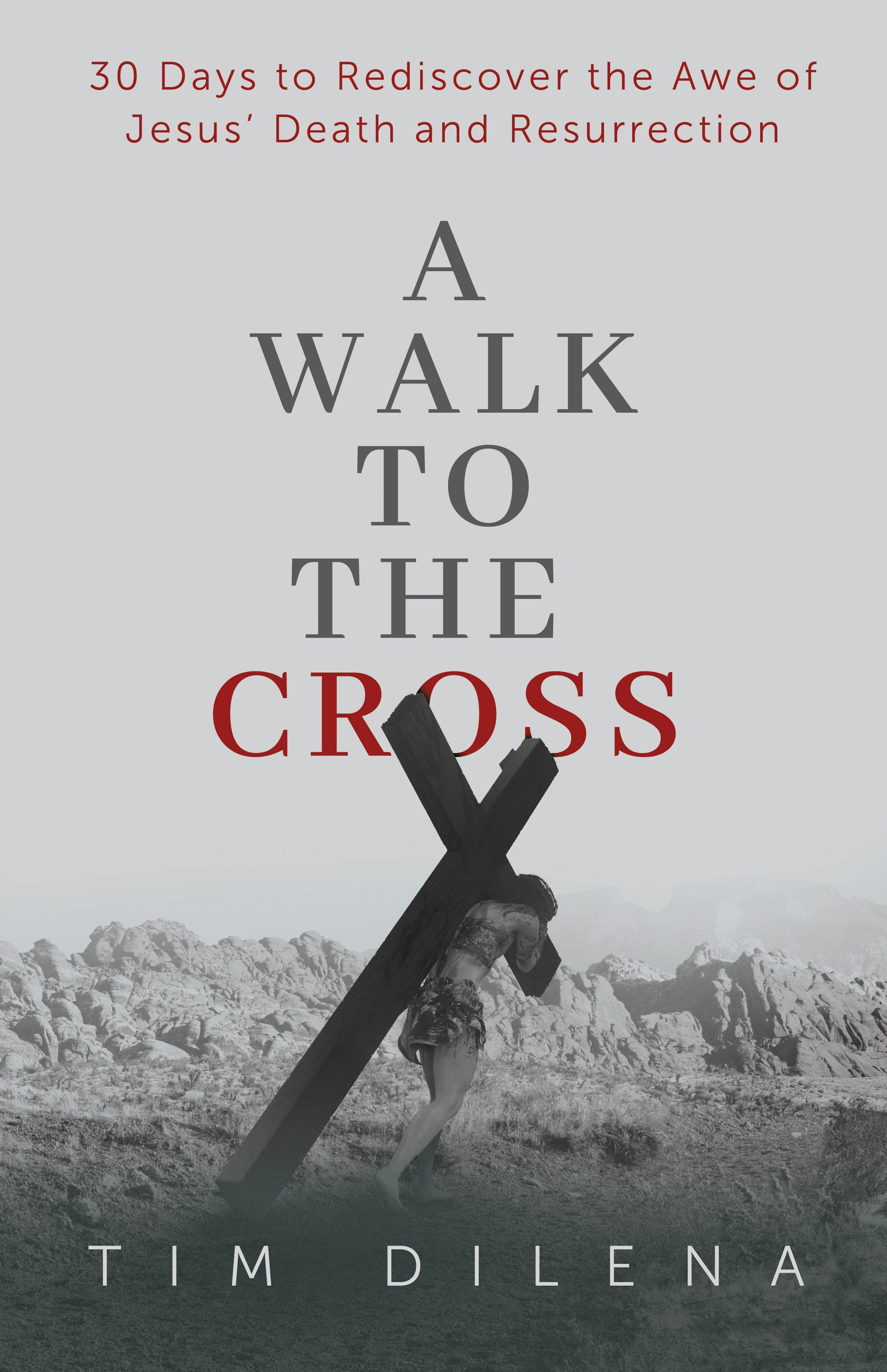 Book cover image for A Walk to the Cross ISBN: 9781956370881
