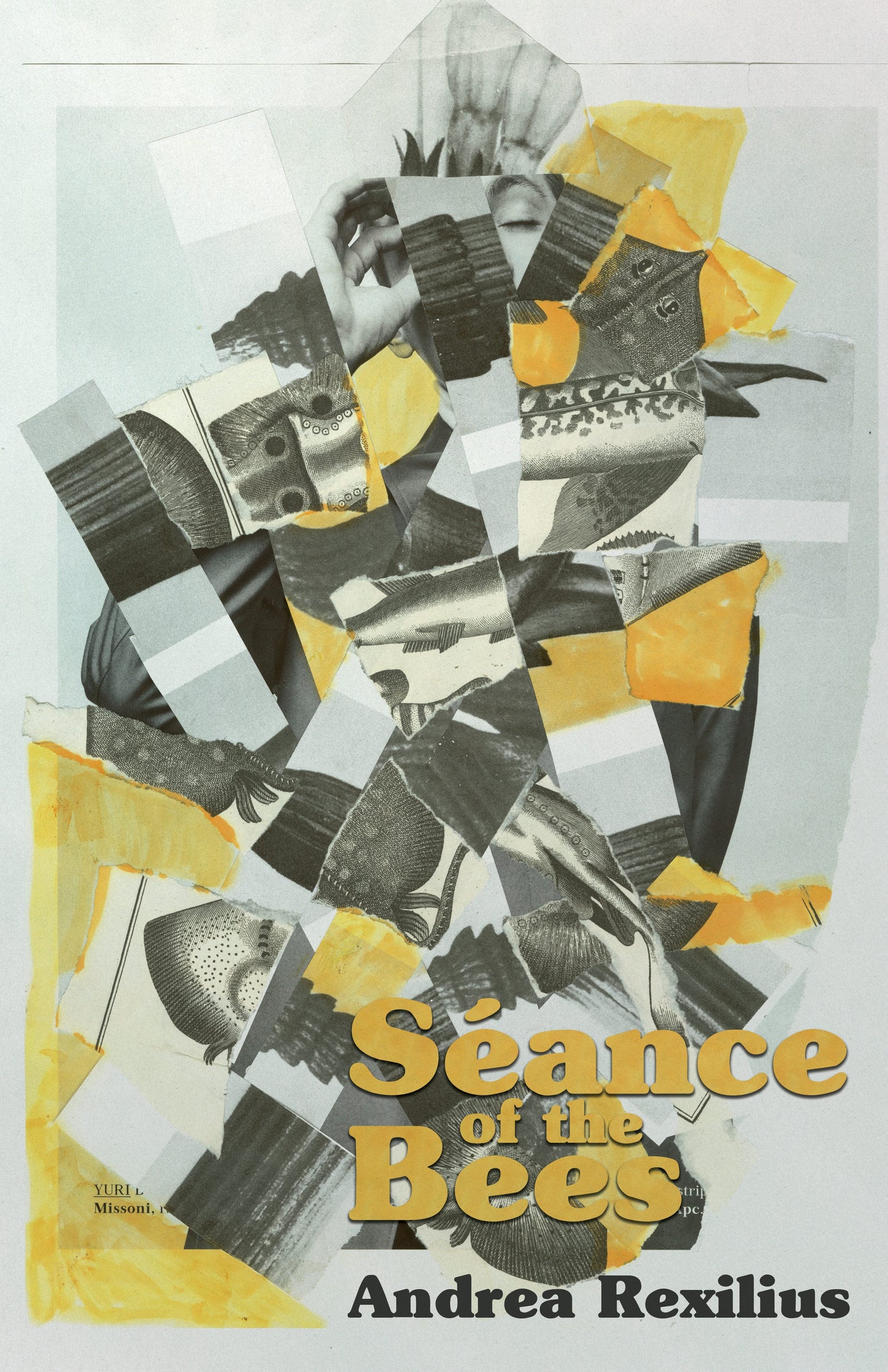 Book cover image for Séance of the Bees ISBN: 9781960988898