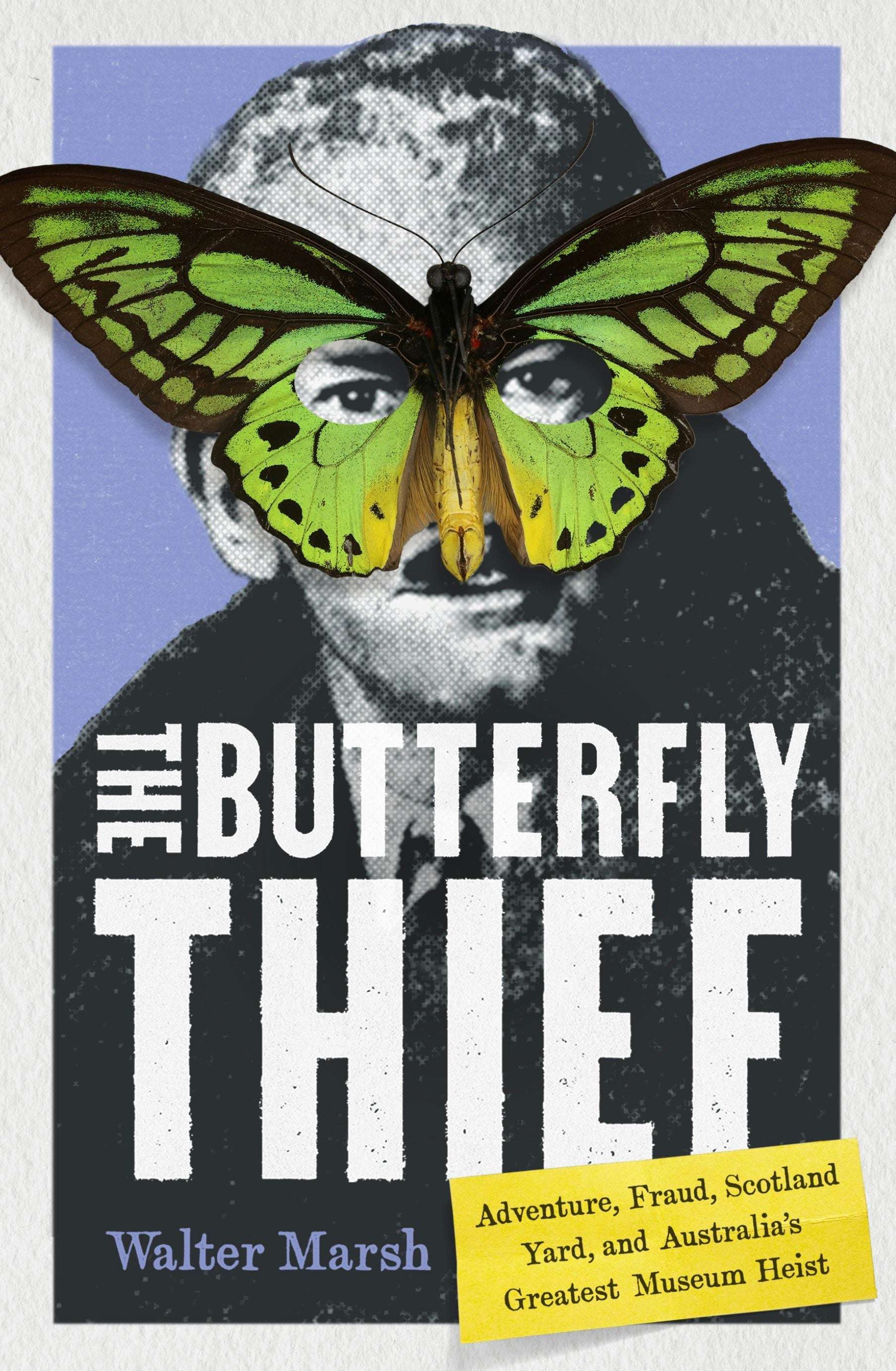 Book cover image for The Butterfly Thief ISBN: 9781964992204