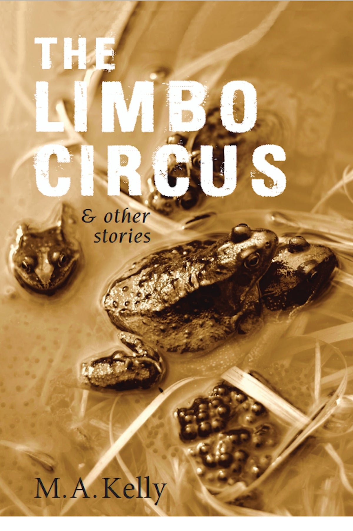 Cover image for Limbo Circus ISBN 9781967673032