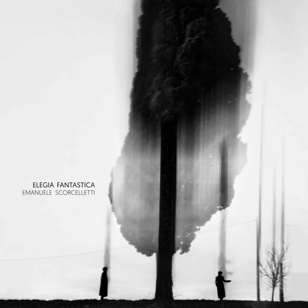 Cover image for Elegia Fantastica ISBN 9782490952038