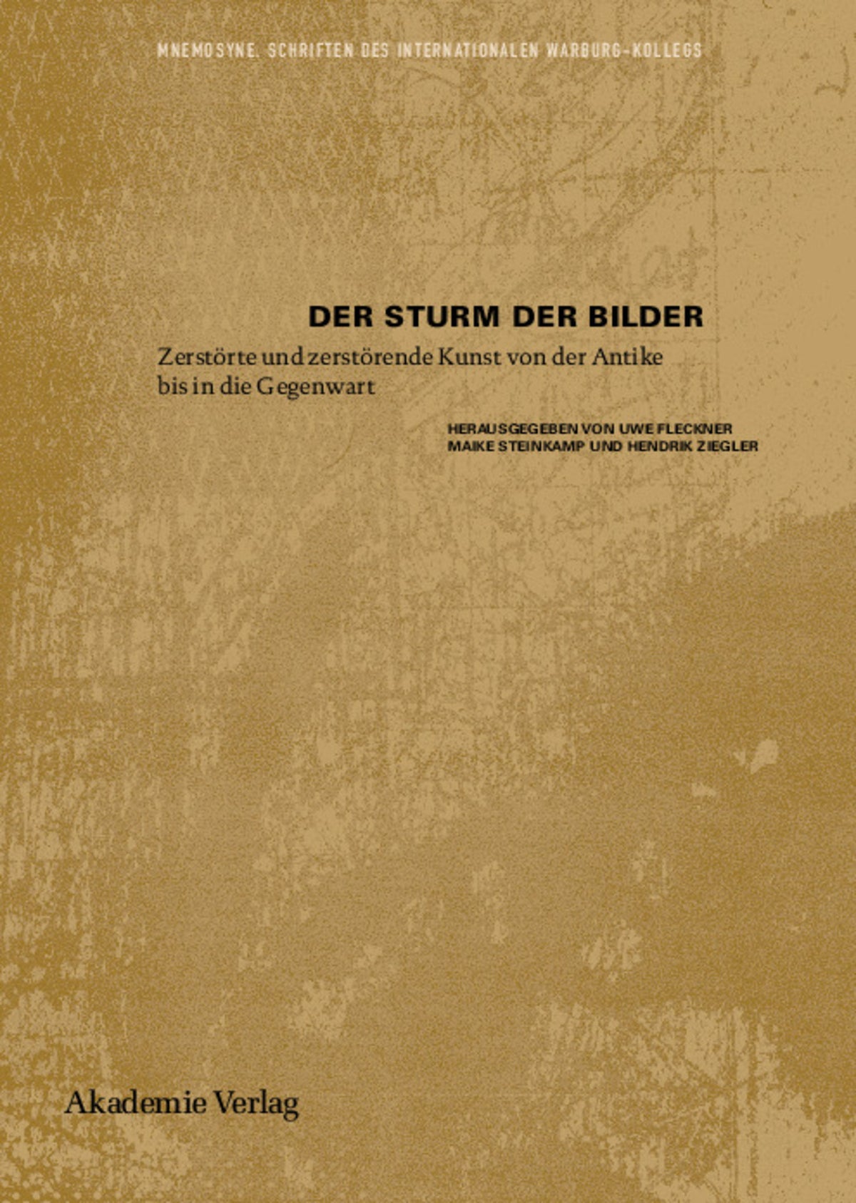 Cover image for Der Sturm der Bilder ISBN 9783050049038