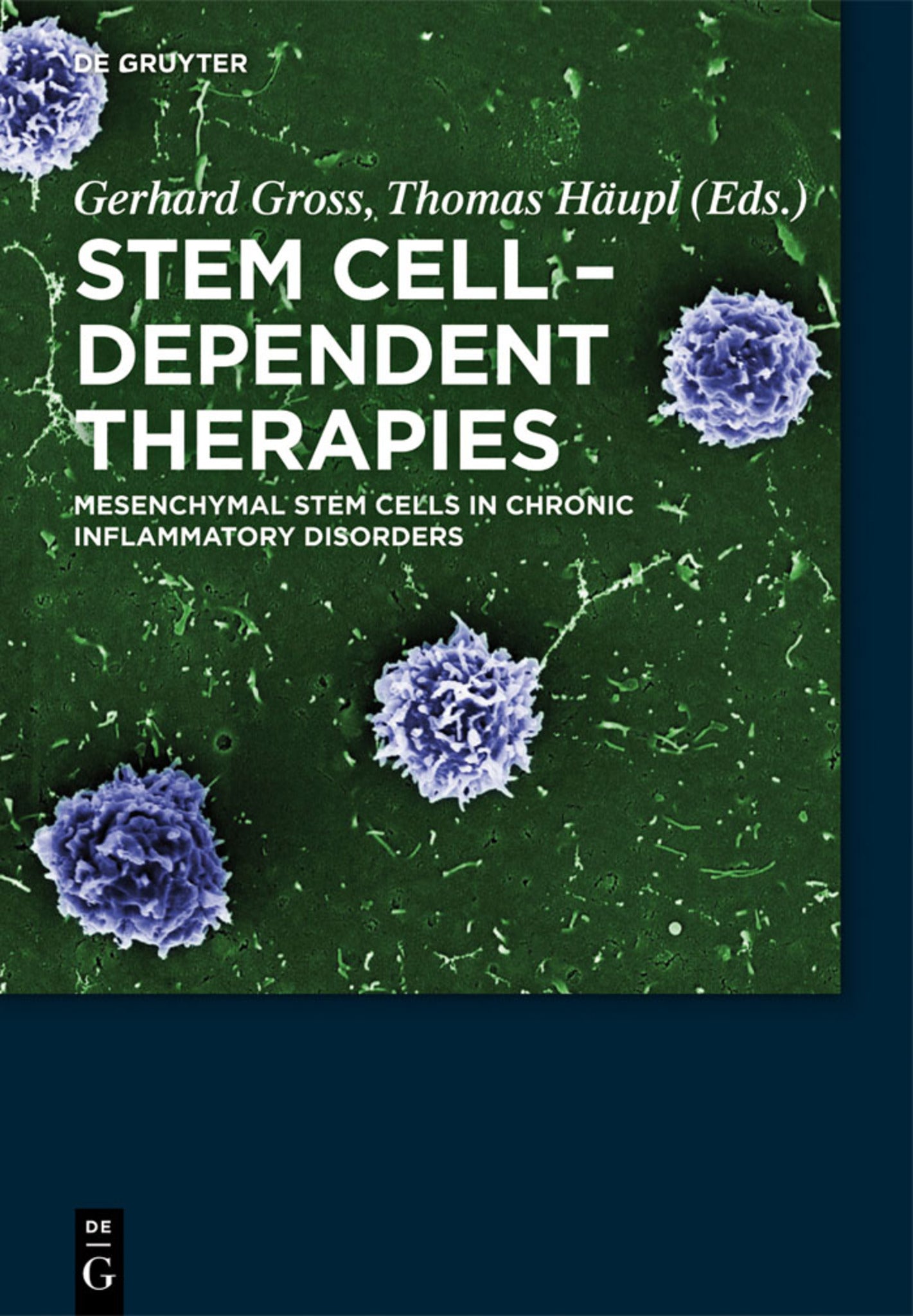 Cover image for Stem Cell-Dependent Therapies ISBN 9783110298260