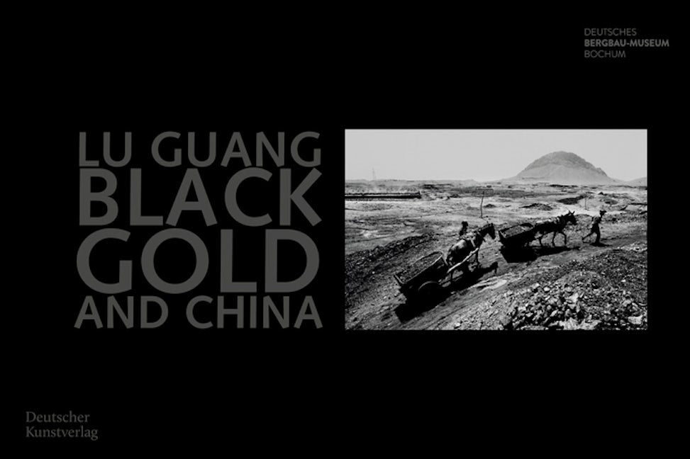 Book cover image for Black Gold and China ISBN: 9783422988811
