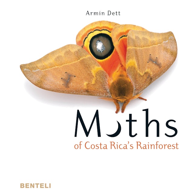 Book cover image for Moths of Costa Rica's Rainforest ISBN: 9783716518403