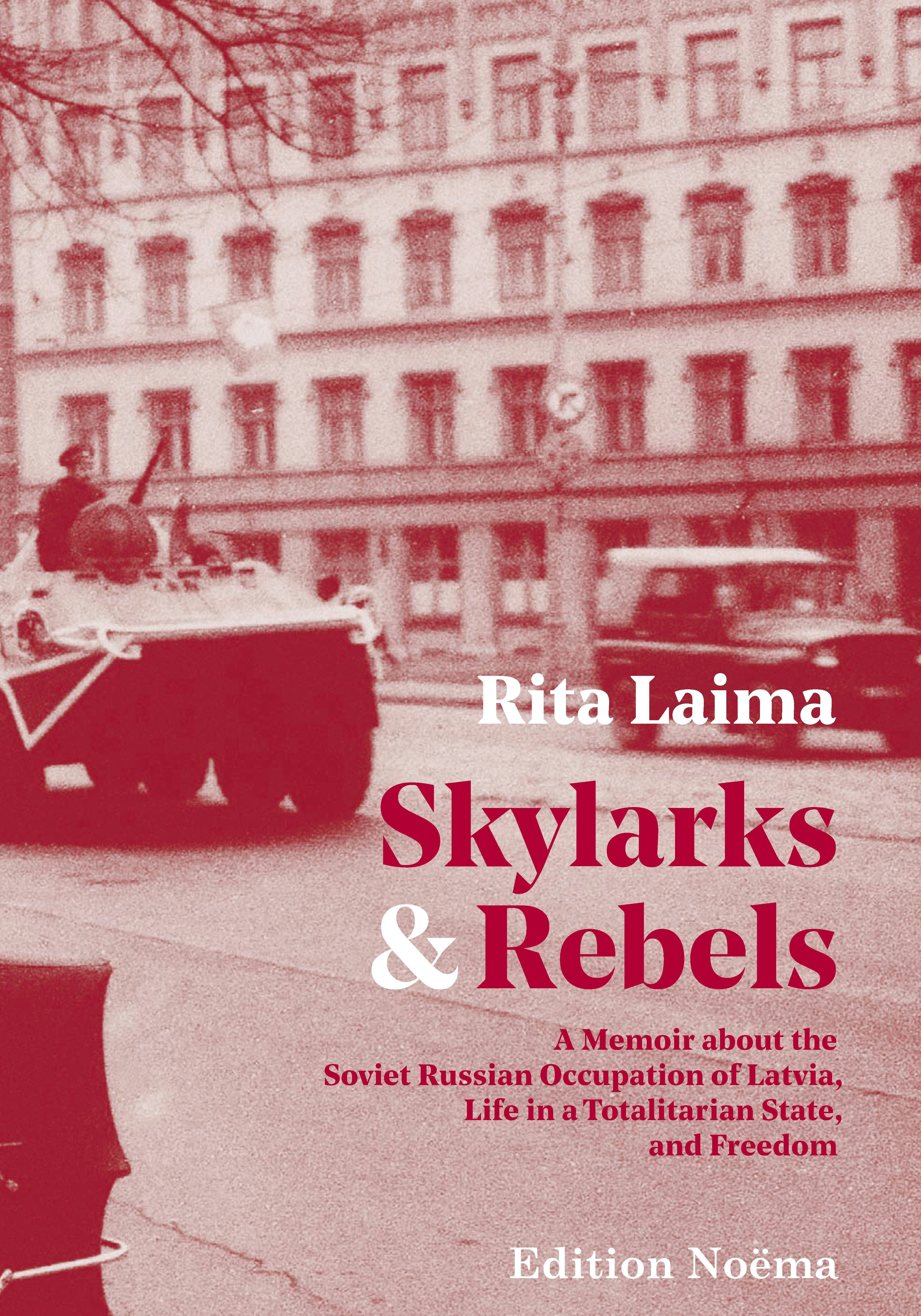 Book cover image for Skylarks and Rebels ISBN: 9783838210346