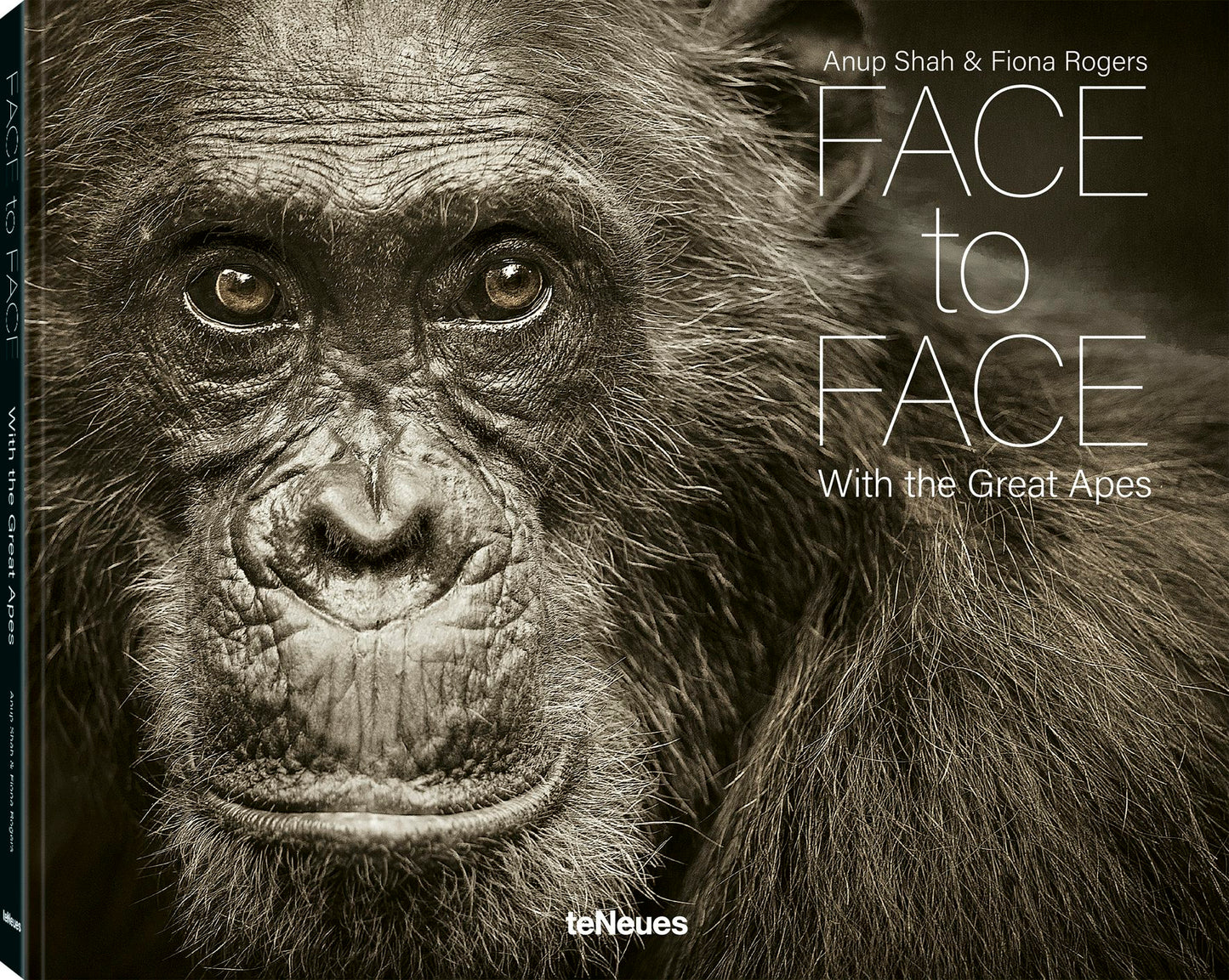 Book cover image for Face to Face ISBN: 9783961714926