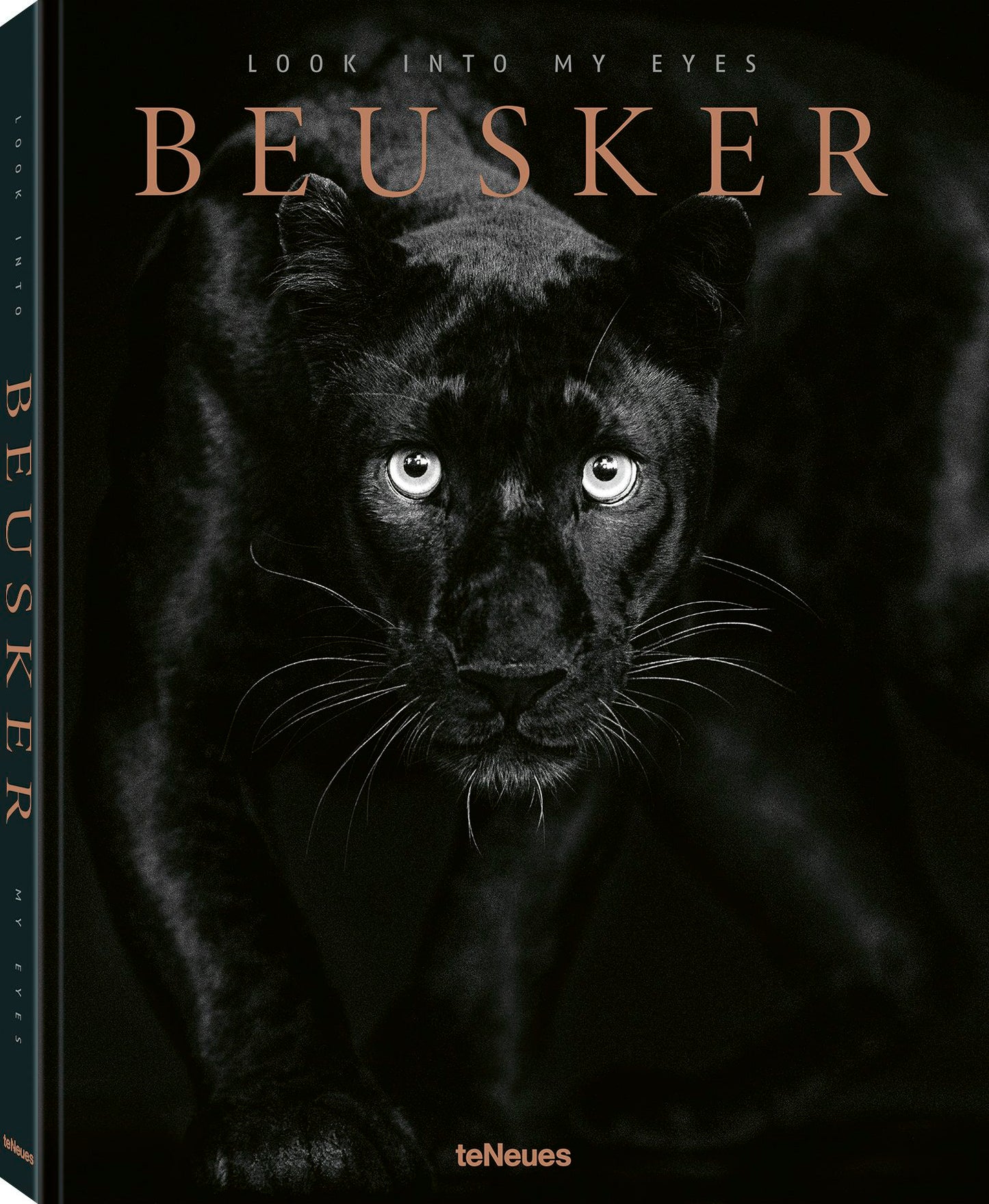Book cover image for Beusker ISBN: 9783961714964