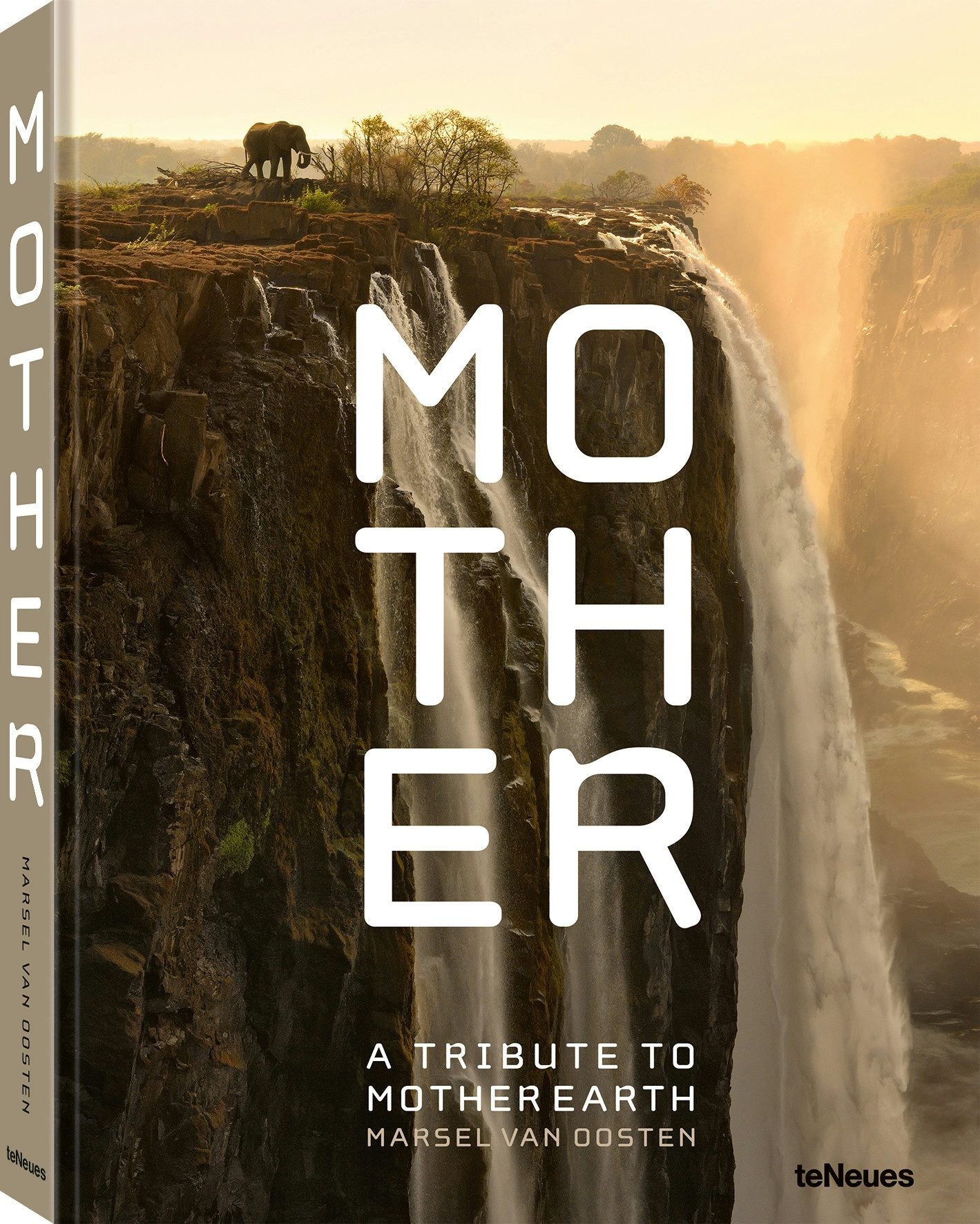 Book cover image for Mother ISBN: 9783961716456