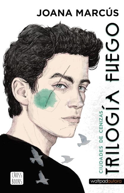 Book cover image for Trilogía Fuego 2: Ciudades de cenizas / Fire Trilogy 2: Cities of Ashes ISBN: 9786070787119