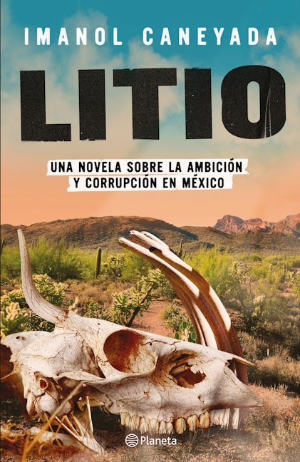 Book cover image for Litio ISBN: 9786070790331