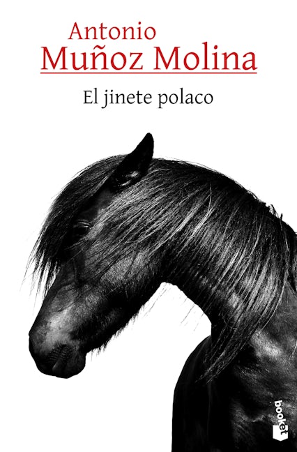 Book cover image for El jinete polaco ISBN: 9786073904582