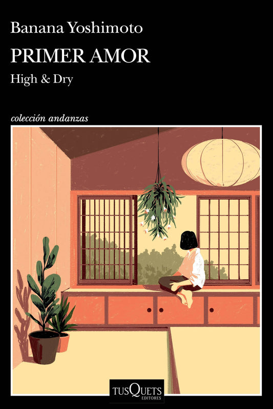 Primer amor (Novela) / High and Dry (A Novel)