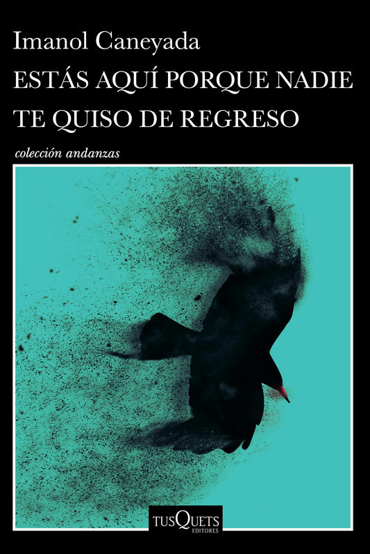Estás aquí porque nadie te quiso de regreso (Cuentos) / No One Wanted You Back (Short Stories)
