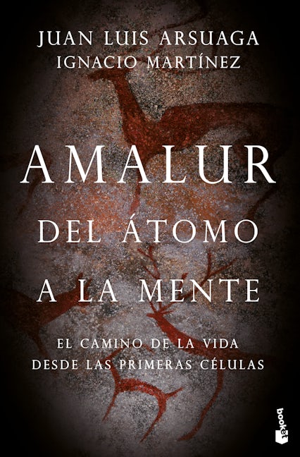Book cover image for Amalur ISBN: 9786075693569