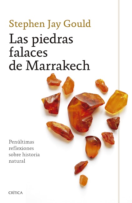 Book cover image for Las piedras falaces de Marrakech: Penúltimas reflexiones sobre historia natural / The Lying Stones of Marrakech ISBN: 9786075697284
