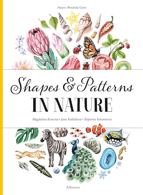 Book cover image for Shapes and Patterns in Nature ISBN: 9788000061252