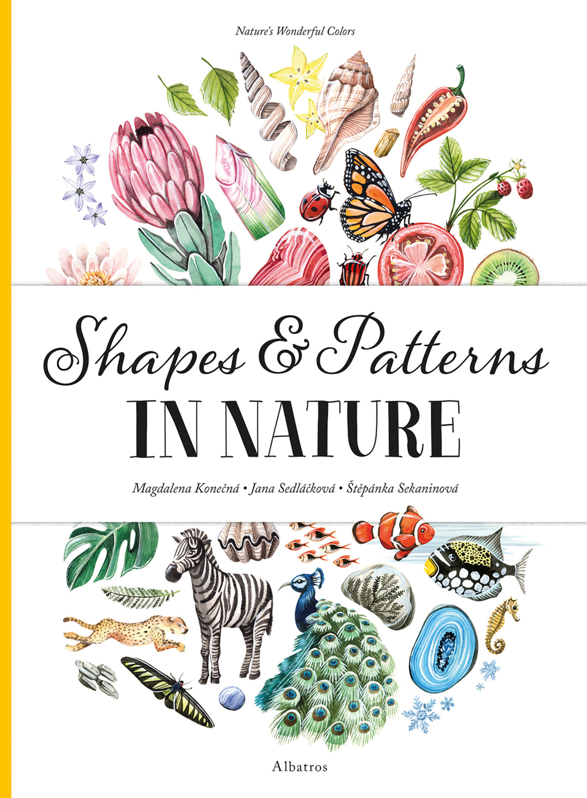 Cover image for Shapes and Patterns in Nature ISBN 9788000061252