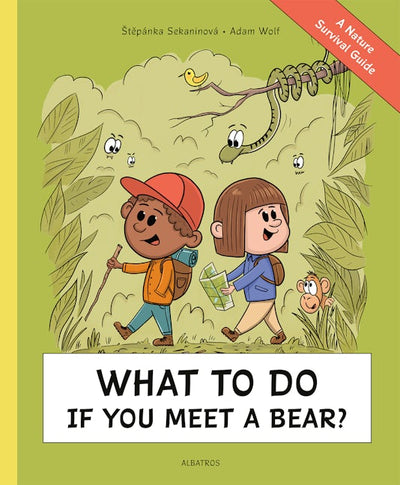 What To Do If You Meet a Bear?