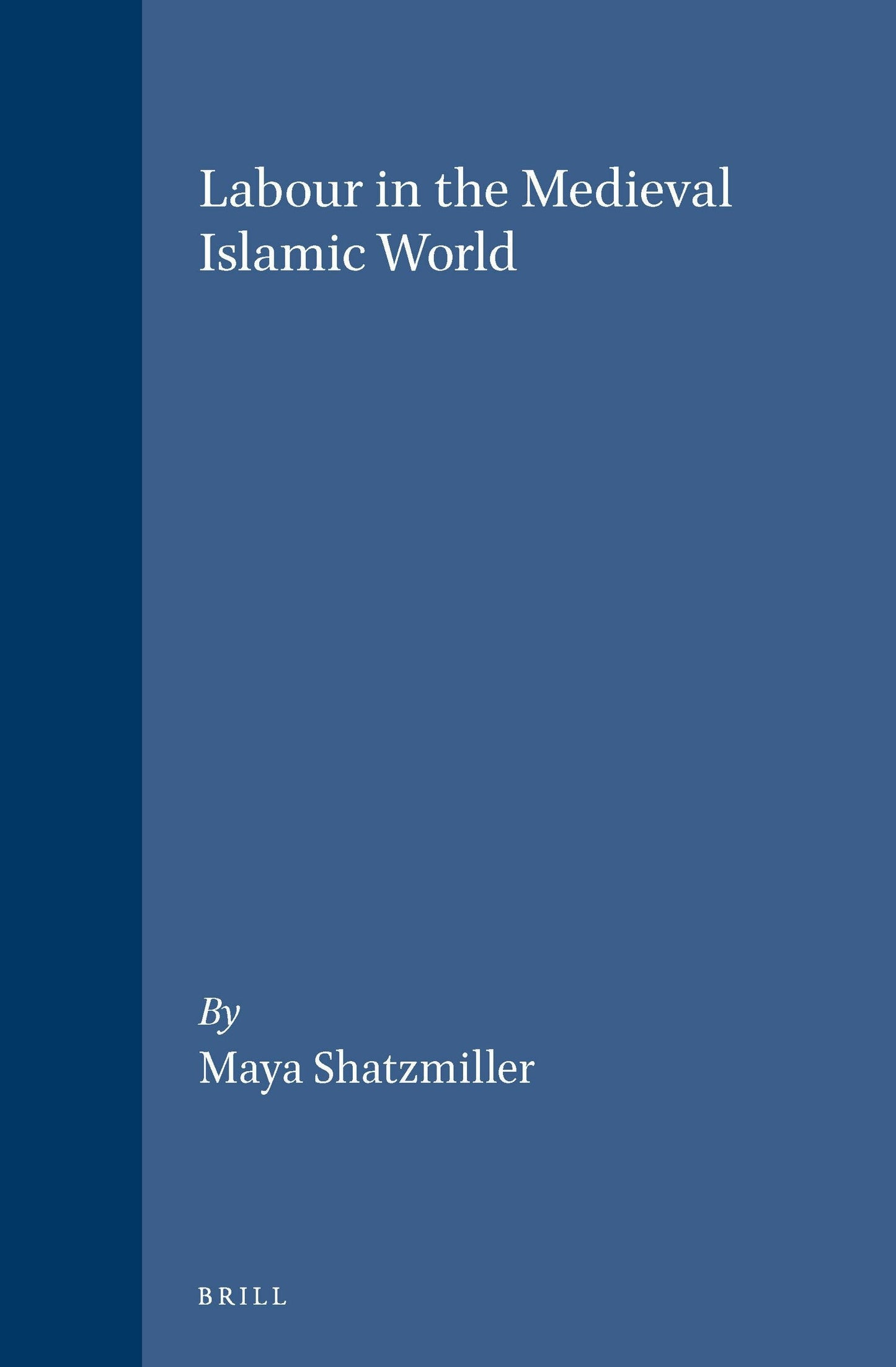Book cover image for Labour in the Medieval Islamic World ISBN: 9789004098961
