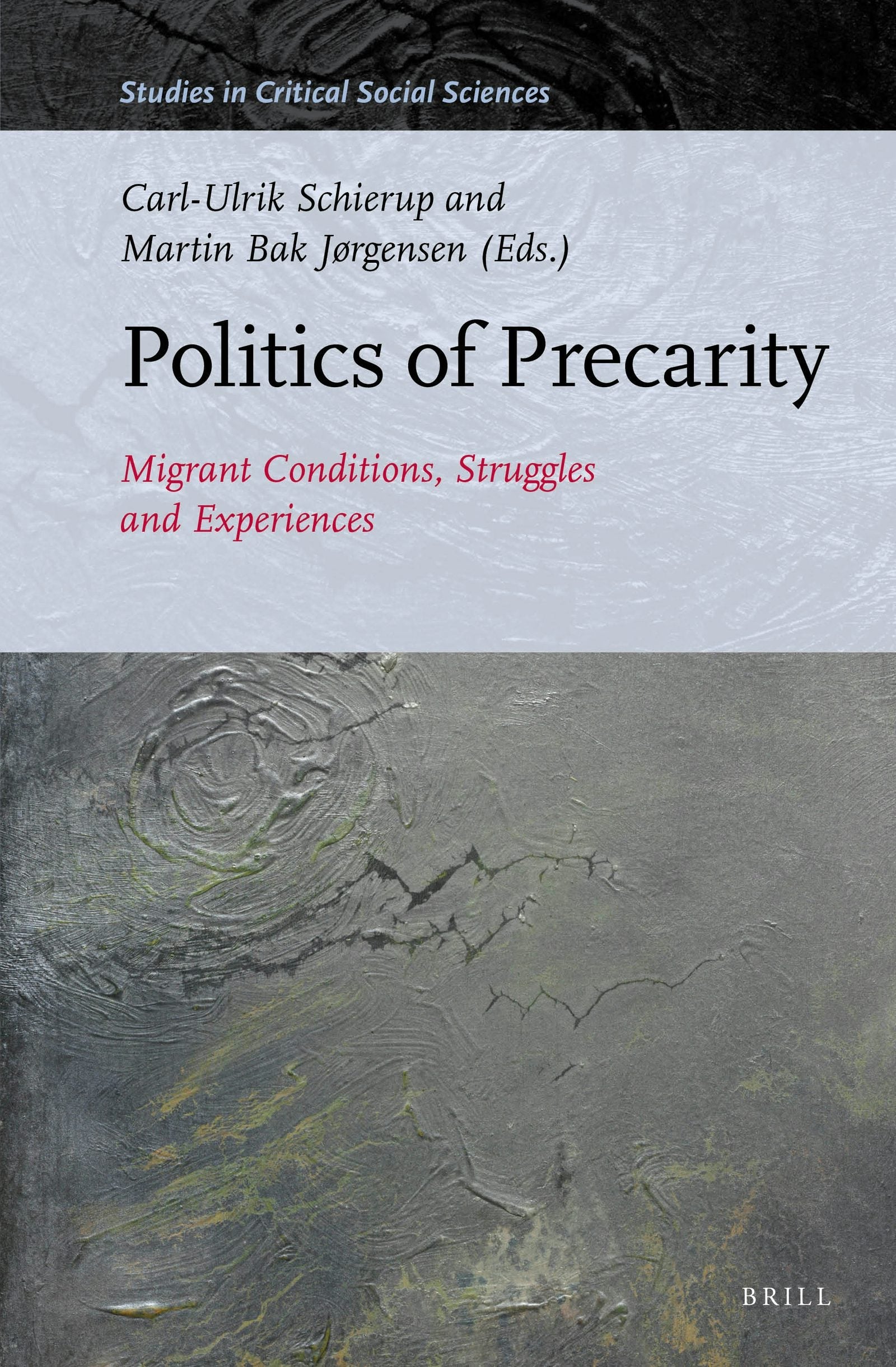 Book cover image for Politics of Precarity ISBN: 9789004297814