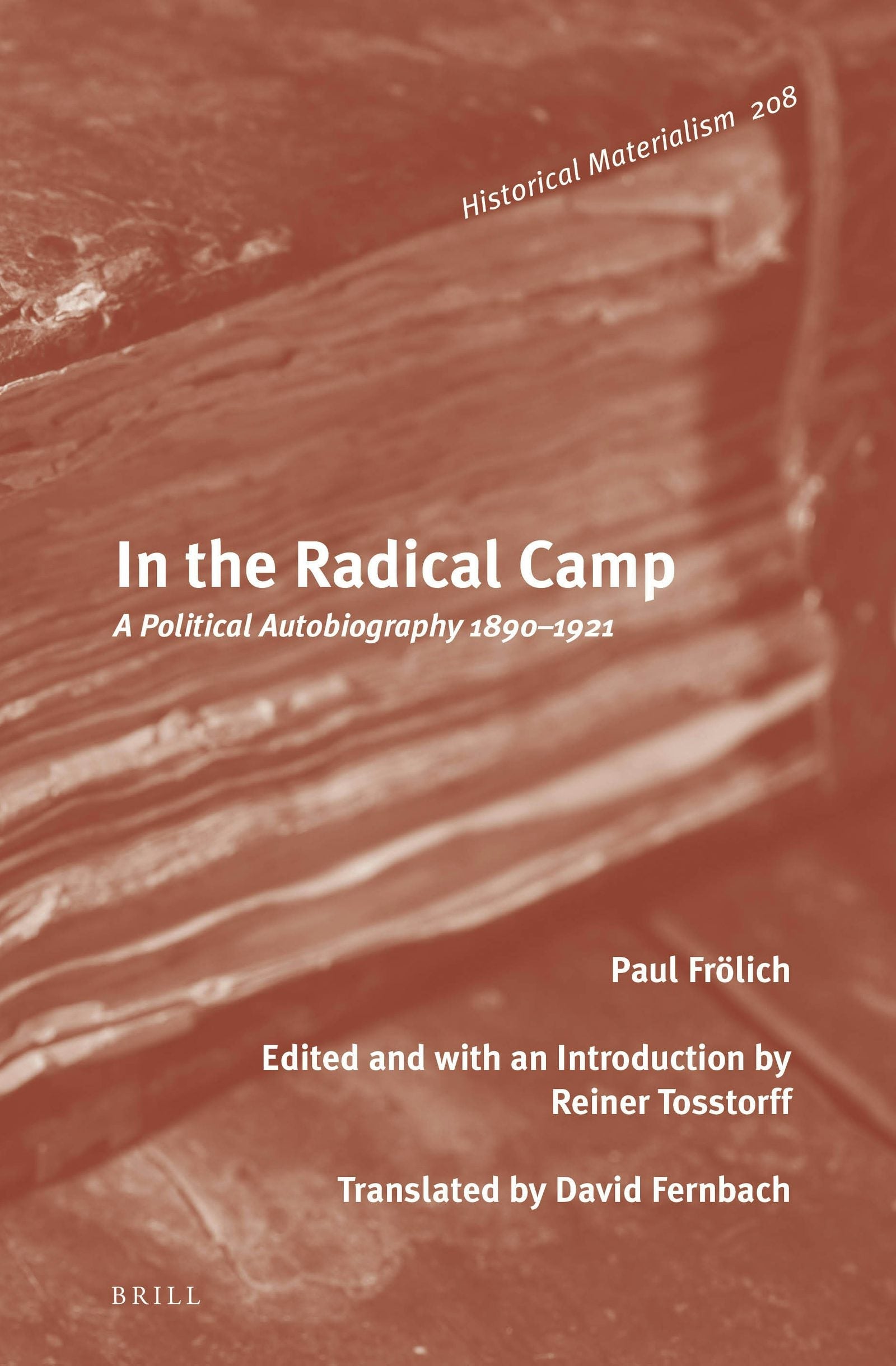 Book cover image for In the Radical Camp ISBN: 9789004323186